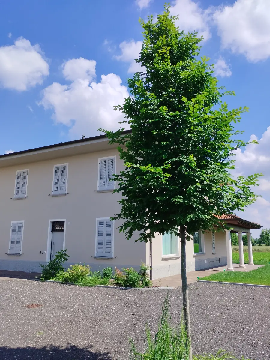 foto B&B Albachiara